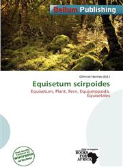 Equisetum scirpoides,6138462270,9786138462279
