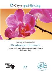 Cardamine breweri,6138488385,9786138488385