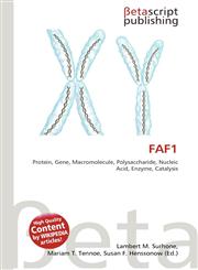 FAF1,6136416379,9786136416373