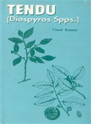 Tendu : Diospyros Spps. 1st Edition,8170352568,9788170352563