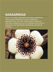Nassariidae Bullia, Cyllene, Nassarius olivaceus, Nassarius arcularius, Nassarius elatus, Nassarius margaritifer, Cyclope, Nassa serta,1233897969,9781233897964
