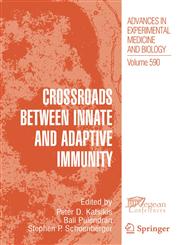 Crossroads between Innate and Adaptive Immunity,0387348131,9780387348131
