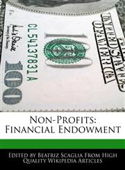 Non-Profits Financial Endowment,117006549X,9781170065495