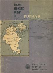 Techno-Economic Survey of Punjab