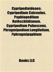 Cypripedioideae Introduction Cypripedium Calceolus, Paphiopedilum Rothschildianum, Cypripedium Pubescens, Phragmipedium Longifolium,1155928148,9781155928142