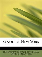 synod of New York,1116543109,9781116543100