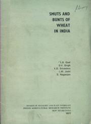 Smuts and Bunts of Wheat in India