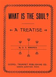What is the Soul?,1604163798,9781604163797