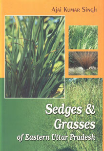 Sedges & Grasses of Eastern Uttar Pradesh 2 Vols.,8170354633,9788170354635