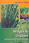Sedges & Grasses of Eastern Uttar Pradesh 2 Vols.,8170354633,9788170354635