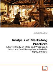 Analysis of Marketing Practices,3639284402,9783639284409