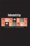 Identity Coversations with Benedetto Vecchi,0745633099,9780745633091