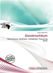 Dendrochilum,6139562848,9786139562848