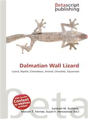 Dalmatian Wall Lizard,6135256726,9786135256727