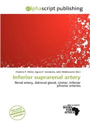 Inferior suprarenal artery,6139975689,9786139975686