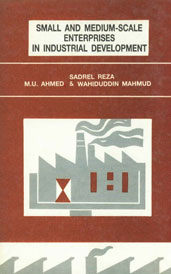 Small and Medium - Scale Enterprises in Industrial Development,9840800507,9789840800506