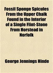 Fossil Sponge Spicules From the Upper Chalk Found in the Interior of a Single Flint-Stone From Horstead in Norfolk,1152530909,9781152530904