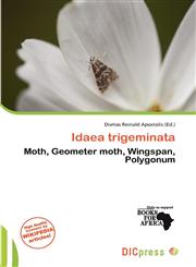 Idaea trigeminata,6137743829,9786137743829