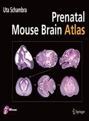 Prenatal Mouse Brain Atlas Color images and annotated diagrams of: Gestational Days 12, 14, 16 and 18 Sagittal, coronal and horizontal section 1st Edition,0387470891,9780387470894