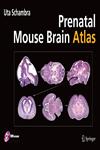 Prenatal Mouse Brain Atlas Color images and annotated diagrams of: Gestational Days 12, 14, 16 and 18 Sagittal, coronal and horizontal section 1st Edition,0387470891,9780387470894