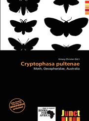 Cryptophasa pultenae,6138091183,9786138091189