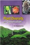 Plant Diversity and Conservation,8171327273,9788171327270