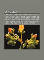 Gwangjugwang-Yeogsi 5·18 Gwangju Minjuhwa Undong, Gwangju Nossi, Gwangjugwang-Yeogsi Chulsin, Gwangjugwang-Yeogsiui Geonchugmul,1233928155,9781233928156
