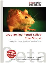 Gray-Bellied Pencil-Tailed Tree Mouse,6135412264,9786135412260