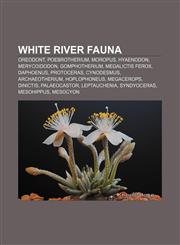White River Fauna Oreodont, Poebrotherium, Moropus, Hyaenodon, Merycoidodon, Gomphotherium, Megalictis ferox, Daphoenus, Protoceras,1155410459,9781155410456