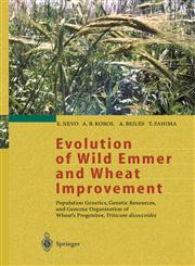 Evolution of Wild Emmer and Wheat Improvement Population Genetics, Genetic Resources, and Genome Organization of Wheat's Progenitor, Triticum dicoccoides 1st Edition,3540417508,9783540417507