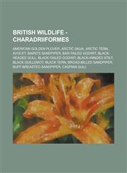British Wildlife - Charadriiformes American Golden Plover, Arctic Skua, Arctic Tern, Avocet, Baird's Sandpiper, Bar-tailed Godwit, Black-headed Gull, Black-tailed Godwit, Black-winged Stilt, Black Guillemot, Black Tern, Broad-billed Sandpiper,1234814137,9781234814137