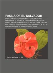Fauna of El Salvador Birds of El Salvador, Mammals of El Salvador, Reptiles of El Salvador, Virginia Opossum, List of birds of El Salvador,1157830161,9781157830160