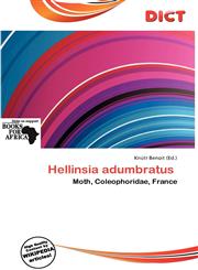 Hellinsia Adumbratus,6138319818,9786138319818