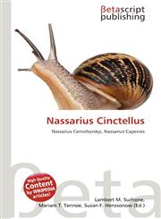 Nassarius Cinctellus,6135164309,9786135164305