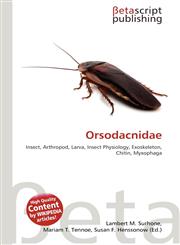 Orsodacnidae,6137658902,9786137658901
