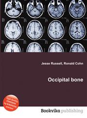 Occipital Bone,5512567373,9785512567371