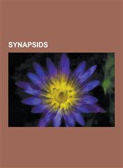 Synapsids Evolution of Mammals, List of Therapsids, Synapsid, List of Pelycosaurs, Therapsida, Neotherapsida, Tetraceratops, Cry,1157662447,9781157662440