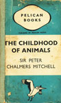 The Childhood of Animals