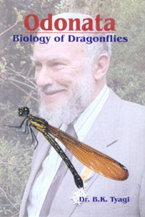 Odonata Biology of Dragonflies 1st Edition,8172334826,9788172334826
