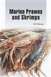 Marine Prawns and Shrimps 1st Edition,8170357004,9788170357001