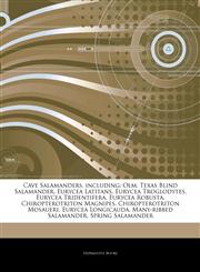 Articles On Cave Salamanders, including Olm, Texas Blind Salamander, Eurycea Latitans, Eurycea Troglodytes, Eurycea Tridentifera, Eurycea Robusta, Chiropterotriton Magnipes, Chiropterotriton Mosaueri, Eurycea Longicauda,1244130079,9781244130074