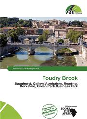Foudry Brook,6200746842,9786200746849