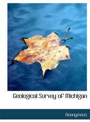 Geological Survey of Michigan,1140017861,9781140017868