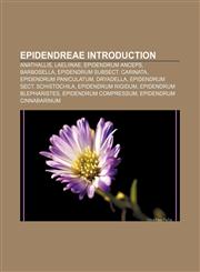 Epidendreae Introduction Anathallis, Laeliinae, Epidendrum anceps, Barbosella, Epidendrum subsect. Carinata, Epidendrum paniculatum, Dryadella,1233077074,9781233077076