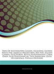 Articles On Trees Of Southeastern Canada, including Eastern White Pine, Quercus Macrocarpa, Red Pine, Juglans Cinerea, Picea Rubens, Betula Alleghaniensis, Carya Ovata, Acer Pensylvanicum, Tilia Americana, Celtis Occidentalis,1242637559,9781242637551