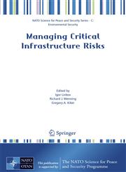 Managing Critical Infrastructure Risks,1402063830,9781402063831