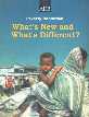 Poverty Reduction : What's New and What's Different? Report of a Seminar Organized by the Asian Development Bank in Conjunction with the 32nd Annual Meeting of its Board of Governors, Manila, Philippnes 29 April, 1999 1st Edition,9715613519,9789715613514