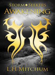 Awakening A Storm Seekers Book,0989867900,9780989867900