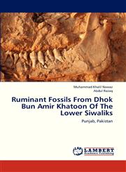 Ruminant Fossils from Dhok Bun Amir Khatoon of the Lower Siwaliks,3659319929,9783659319921
