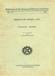 Ferns of India - XV Pyrrosia Mirbel